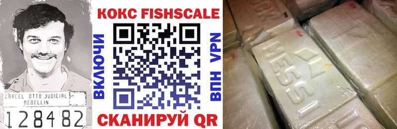 Кокаин FishScale  Купить закладки  Барабинск 