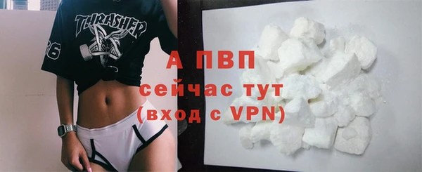 PSILOCYBIN Бородино