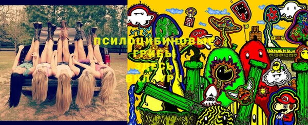 PSILOCYBIN Бородино