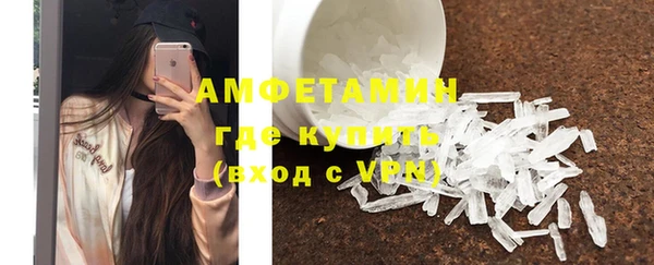 PSILOCYBIN Бородино