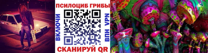 Псилоцибиновые грибы Psilocybine cubensis Барабинск