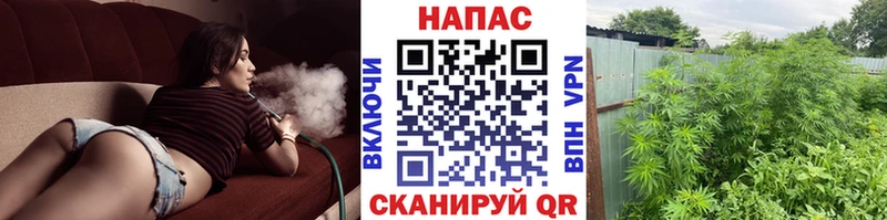 МАРИХУАНА семена  Купить где  Барабинск 